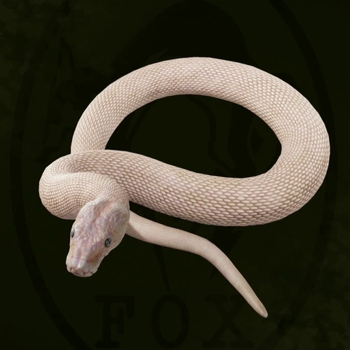 メタルギアデルタ_ソリッド_アイコン